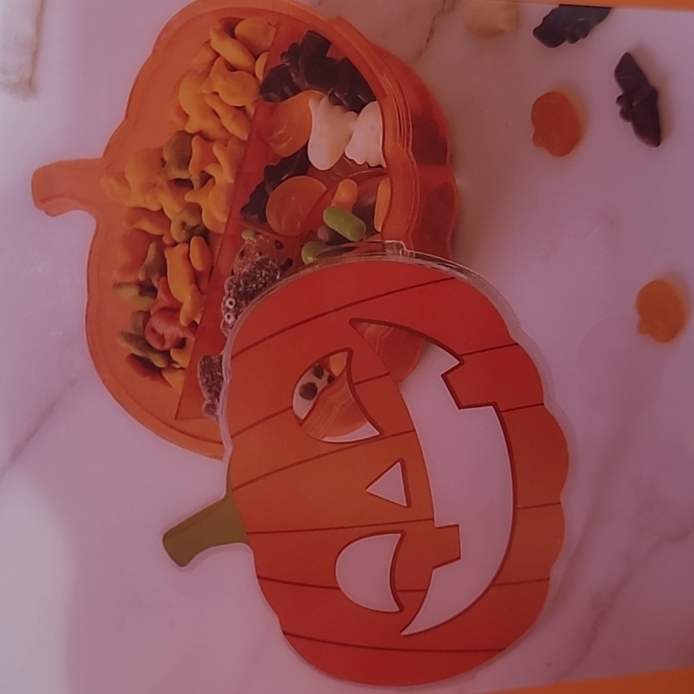 Brand New! CWC Pumpkin Snack Box Food Storage Organizer - Picture 2 of 3